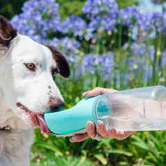 Portable Dog Water Bottle with Dispenser – Leak Proof Travel Pet Water Bottle with Built-In Bowl, One-Hand Use for Walking, Hiking & Outdoor Travel (1-Pack or 2-Pack)