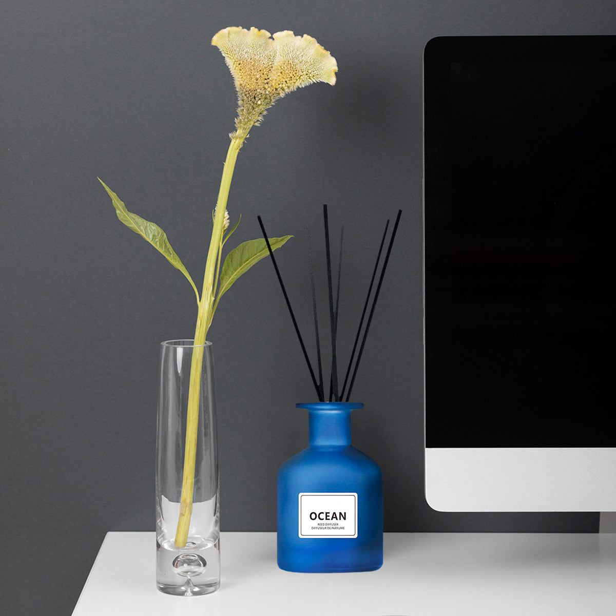 Premium Reed Diffusers and Air Freshener for Aesthetic Home Decor