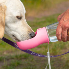 Portable Dog Water Bottle with Dispenser – Leak Proof Travel Pet Water Bottle with Built-In Bowl, One-Hand Use for Walking, Hiking & Outdoor Travel (1-Pack or 2-Pack)