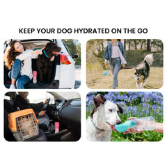 Portable Dog Water Bottle with Dispenser – Leak Proof Travel Pet Water Bottle with Built-In Bowl, One-Hand Use for Walking, Hiking & Outdoor Travel (1-Pack or 2-Pack)