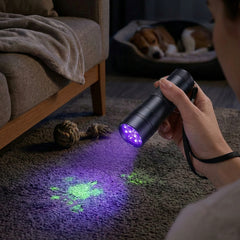 UV Black Light Pet Urine Detector Flashlight (1 or 2-Pack) – 12 LED 395nm UV Light for Detecting Pet Stains on Carpet, Furniture & Floors – Portable Leak & Stain Finder